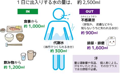 体内水分量を計|1日に必要な水分.